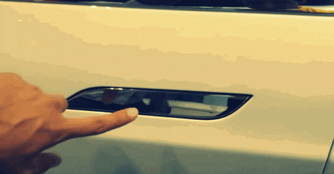 Tesla door handle
